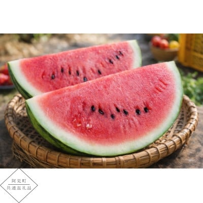 
                  ＜阿見町共通返礼品＞茨城県阿見町産大玉すいか(羅王ザ・スイート)4L(1玉)1箱9～10kg【1713065】
                