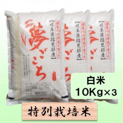 ふるさと納税 池田町 【令和7年産】特別栽培米 30kg【白米】(夢ごこち)