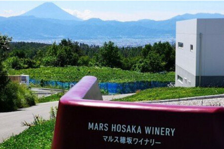 ワイン 白 辛口 一升瓶 |マルスワインブラン 3600ml 1.8L 2本 セット 甲州種