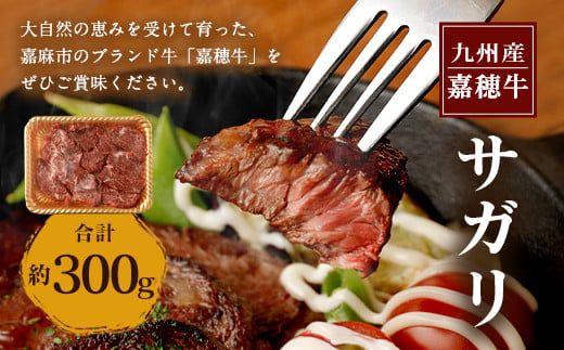 嘉穂牛サガリ約300g数量限定ブランド牛牛肉