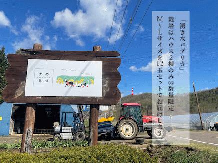 【R6年収穫分】 湧水栽培　ナツやさいのパプリカ　12玉〜15玉セット　ピンクの八百屋〜ナツやさい〜/011-22161-b01A