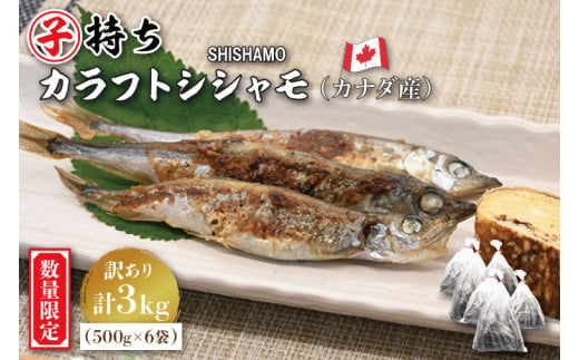 
【数量限定！】 子持ち カラフトシシャモ 3kg (500ｇ×6袋) 訳アリ シシャモ ししゃも カラフトししゃも 大洗 規格外 訳あり わけあり 傷
