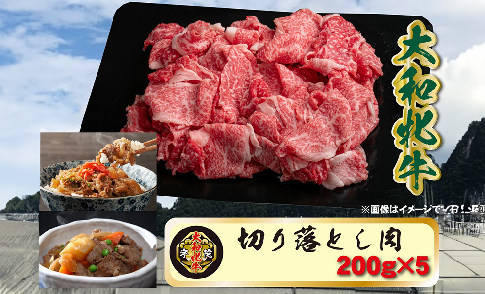 
            (冷凍) 大和牝牛 切り落とし肉 200g×5 YMKO1 ／ 太田家 焼肉 バーベキュー アウトドア キャンプ お中元 お歳暮 父の日 奈良県 宇陀市 お中元 贈答用 贈り物 暑中見舞い お土産 お歳暮 内祝い 美味しい部位 送料無料 ふるさと納税
          