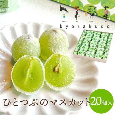 ふるさと納税 三原市 数々のメディアで紹介され大人気のひとつぶのマスカット(20個入)[018-003]