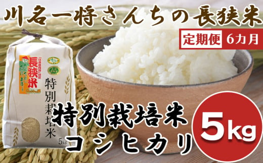 【令和6年産】【定期便】川名一将さんちの長狭米 特別栽培米コシヒカリ5kg×6カ月　[0072-0004]