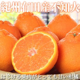 【上富田町】【ご家庭用】紀州有田産不知火(しらぬひ) 約8.5kg【配送不可地域：離島】