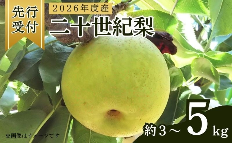 
            【先行予約】 2026年度産 京都府産 二十世紀梨 約3kg～5kg（7玉～16玉入り） （梨 20世紀梨 なし ナシ フルーツ 果物 くだもの 秋 旬 京都 京丹後産 直送 ）
          