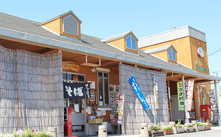 そば 乾麺 15人前 名店 ぷらっときすみの そば