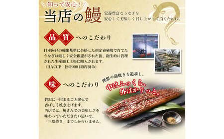 うなぎ蒲焼き2尾入り 計約430g～480g（蒲焼たれ4袋 山椒付き）【KS5】【nks700B】