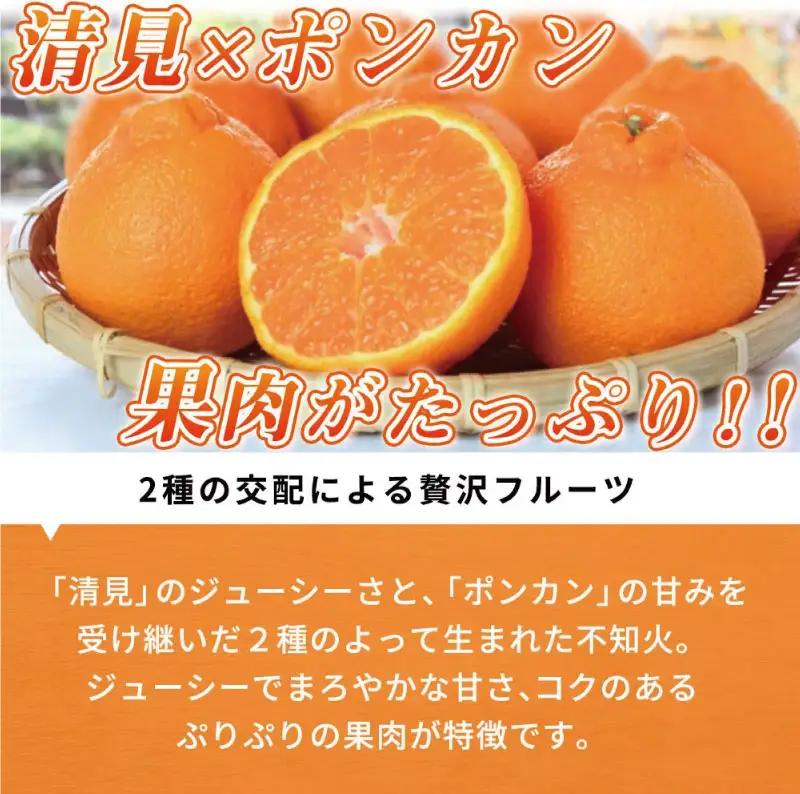 【先行予約】紀州有田産不知火(しらぬひ) 2.5kg ※2027年2月中旬頃〜2027年3月中旬頃に順次発送予定（お届け日指定不可）/ みかん 不知火 和歌山 フルーツ 有田【uot794】