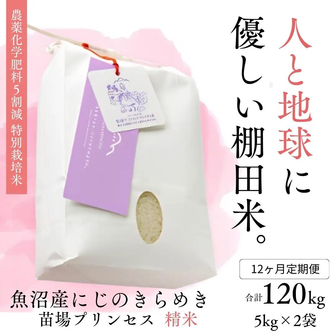 【令和8年産先行予約】【12ヶ月定期便】【農薬化学肥料5割減】魚沼産にじのきらめき苗場プリンセス特別栽培米 精米10kg(5kg×2)計120kg | 津南町 にじのきらめき