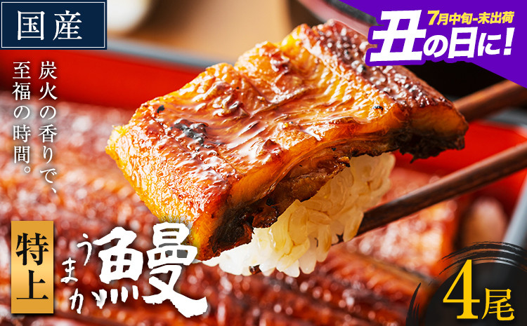 
                  うなぎ 特上サイズ 4尾 国産 ランキング 獲得 鰻 真空パック おすすめ うなぎの蒲焼 《丑の日に！7月中旬-7月下旬出荷》 有頭 ふるさとのうぜい 鶏炭火焼 特上 簡易包装 ウナギ unagi 蒲焼 秋 冬 旬 配送時期 冷凍
                