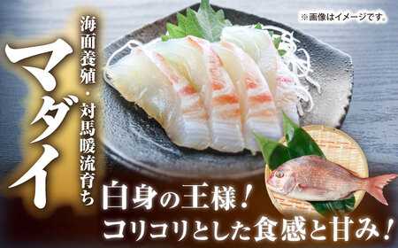 【全2回定期便】 【壱岐島直送】プレミアム海鮮4種食べ比べ刺身セット≪壱岐市≫【なかはら】 冷凍配送 刺身 小分け 産地直送 お刺身 刺し身 寿司 海鮮[JDT082]