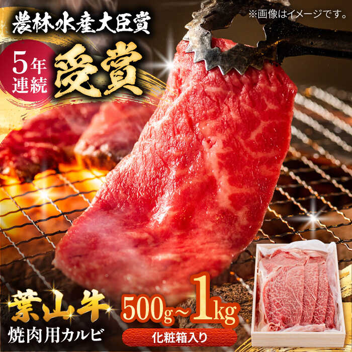 【ふるさと納税】【着日指定必須】【選べる容量！】葉山牛 焼肉用カルビ 500g〜1kg / 牛肉 牛 肉 お肉 国産 赤身肉 やきにく 焼き肉 カルビ かるび BBQ ブランド牛 和牛 黒毛和牛 国産牛 贈答 ギフト 冷凍 葉山 【有限会社葉山旭屋牛肉店】[ASAP023]