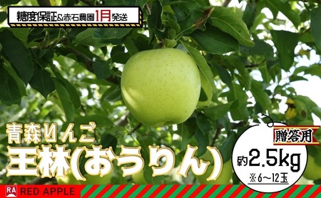 りんご 【 1月発送 】 13度糖度保証 贈答用 王林 約 2.5kg 【 弘前市産 青森りんご 】