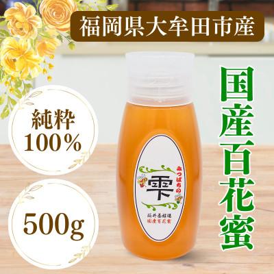 ふるさと納税 大牟田市 みつばちの雫　国産百花蜜　500g