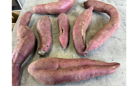 甘さ引き出す サイズ不揃い 熟成紅はるか 5kg さつまいも 訳アリ サツマイモ さつま芋 甘い おやつ 食品  F21T-474