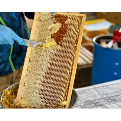 ふるさと納税 糸満市 【非加熱・無添加】糸満産 生はちみつ(280g) |  | 01