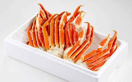 訳アリボイル本ズワイガニ肩 1.3kg【配送不可地域：離島】【1607630】