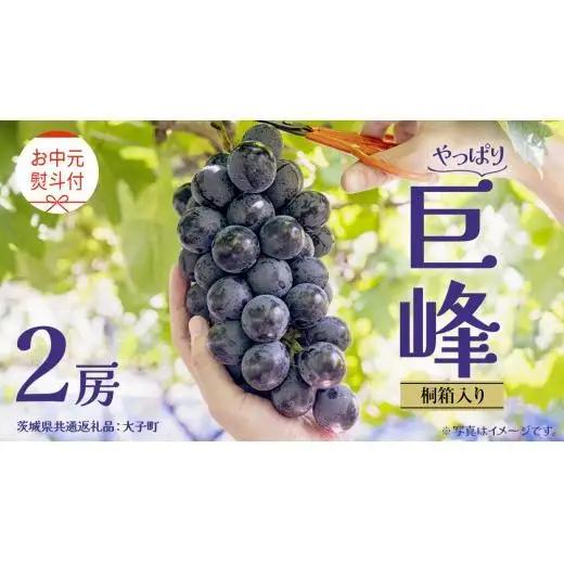 【 お中元 桐箱入り】 巨峰 ２房 【2026年8月上旬発送開始】(茨城県共通返礼品：大子町）