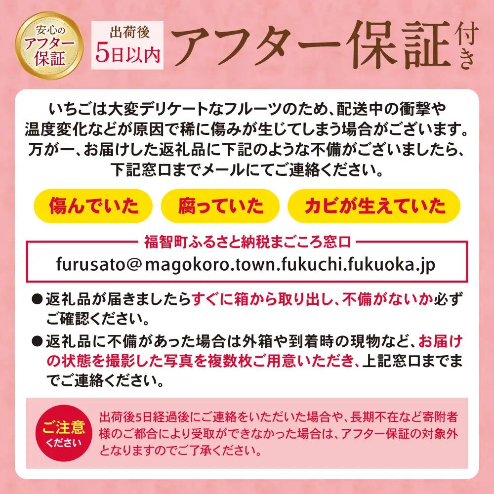 Z21-02 あまおう苺(4パック) いちご