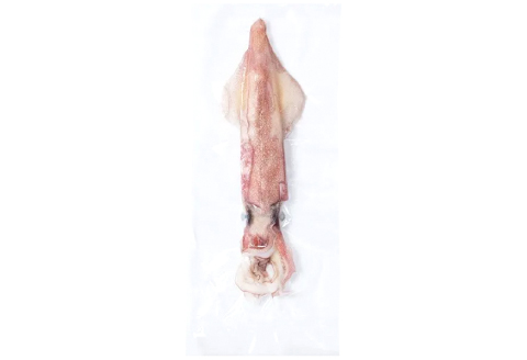 船上スミ抜きケンサキイカ 400g（2～3杯）【いか 剣先いか 400g 烏賊 イカ ケンサキイカ 贅沢 刺身 おかず おつまみ お酒 冷凍 地物 天然物 新鮮 真空パック 旨い 海産物 魚介類 獲れ