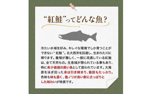 〔特選〕北洋紅鮭切り身 4切入り200g×5袋 ふるさと納税 魚
