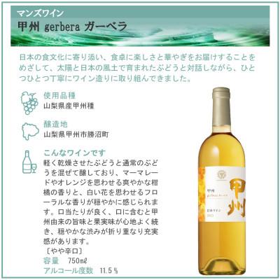 ふるさと納税 山梨県 甲州 オレンジワイン 2本セット |  | 02