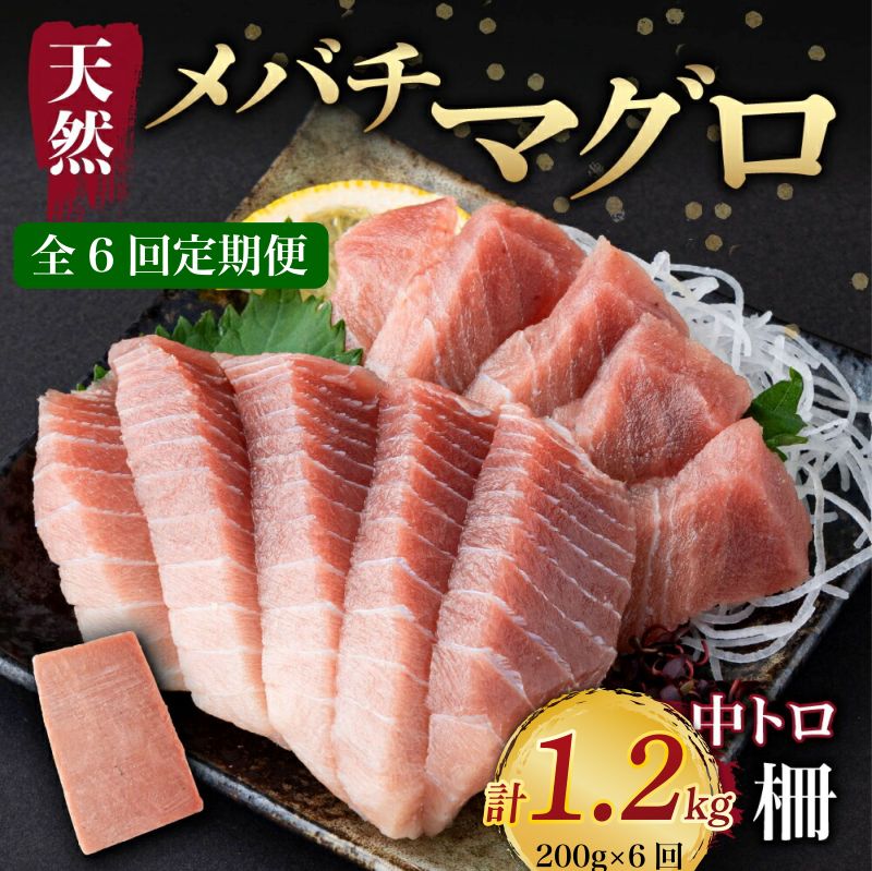 【ふるさと納税】 【6回定期便】 天然メバチマグロ 【 中トロ 】 200g（柵） メバチマグロ めばちまぐろ めばち メバチ まぐろ マグロ 鮪 サク 柵 中トロ 天然 天然まぐろ 天然マグロ 刺身 お刺身 食べ比べ 海鮮丼 丼 魚 さかな 新鮮 高知 室戸 冷凍 小分け 海鮮