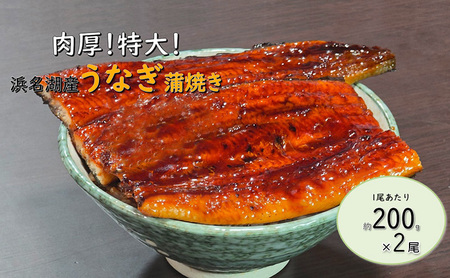 うなぎ 蒲焼き 真空パック 約200g×2尾 うなぎ