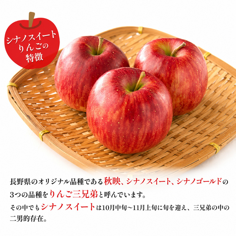 訳あり りんご JA信州うえだ 合戦りんご シナノスイート 約10kg リンゴ 林檎 果物 くだもの フルーツ 信州 長野 離乳食 訳アリ わけあり 傷
