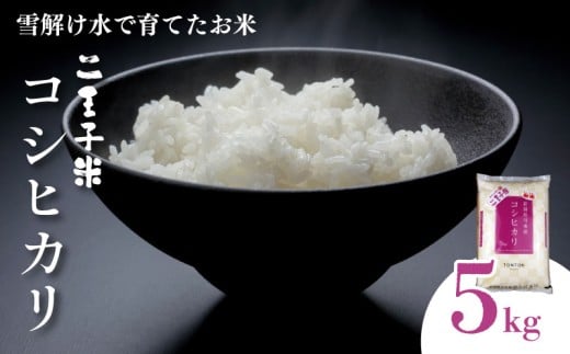 令和7年産 新潟県産 コシヒカリ 5kg 数量限定 特別栽培米 二王子米 新潟産 新潟米 新発田産 新発田 お米 米 kome 白米 ご飯 こめ ごはん ライス ふるさと納税米 コシヒカリ お弁当 食品 せいだ とんとん市場 ブランド米 人気米 玄米 新潟県 新発田市 とんとん市場のお米 seida002_02