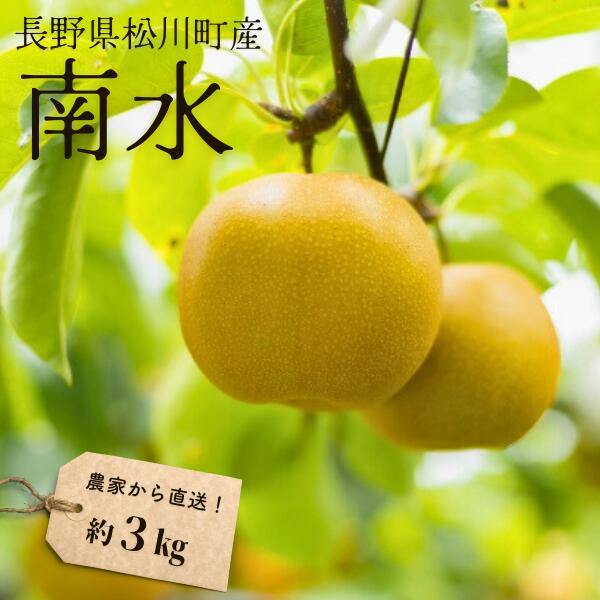 【ふるさと納税】梨 南水 約3kg（6～9玉）松川町産 贈答／9月下旬頃から順次発送予定 // 南信州産 長野県 和梨 なし ナシ 南水 農家直送 農家支援 KW07