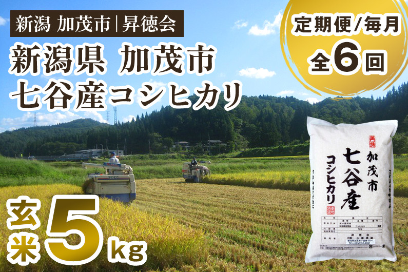 
                  【令和8年産新米先行予約】【定期便6ヶ月毎月お届け】新潟県加茂市 七谷産コシヒカリ 玄米5kg 《10月中旬～順次出荷》 高柳地域産数量限定 昇徳会
                