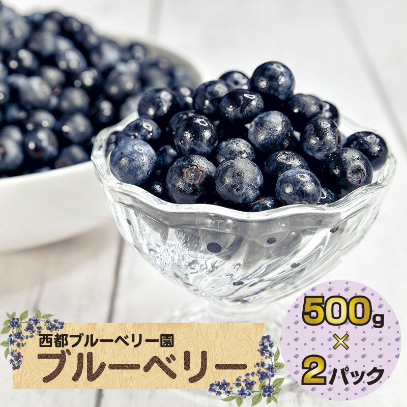 【ふるさと納税】朝採れ 生ブルーベリー1kg（250g×4）【先行予約】西都ブルーベリー園＜1.2-36＞国産 宮崎県 手摘み