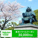 【ふるさと納税】山梨県甲府市の対象施設で使える楽天トラベルクーポン 寄付額100,000円