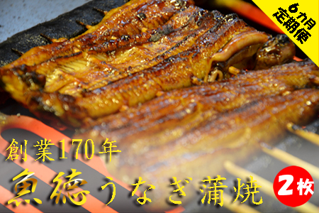 【定期便 6ヶ月】うなぎ 蒲焼 2枚 セット 100～110g 山椒付き 冷蔵 創業170年 魚徳 ( うなぎ 鰻 蒲焼 真空パック うなぎ 鰻 蒲焼 魚介 うなぎ 鰻 蒲焼 うなぎ 鰻 蒲焼 うなぎ 鰻 蒲焼 うなぎ 鰻 蒲焼 うなぎ 鰻 蒲焼 うなぎ 鰻 蒲焼 うなぎ 鰻 蒲焼 うなぎ 鰻 蒲焼 うなぎ 鰻 蒲焼 うなぎ 鰻 蒲焼 うなぎ 鰻 蒲焼 うなぎ 鰻 蒲焼 うなぎ 鰻 蒲焼 うなぎ 鰻 蒲焼 うなぎ 鰻 蒲焼 うなぎ 鰻 蒲焼 うなぎ 鰻 蒲焼 うなぎ 鰻 蒲焼 うなぎ 鰻 蒲焼 うなぎ 鰻 