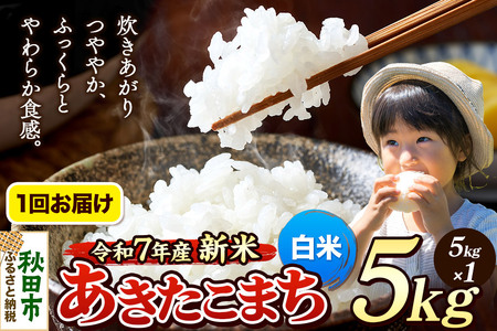 《令和7年産 新米先行受付》 米 あきたこまち 5kg 【白米】 秋田県産