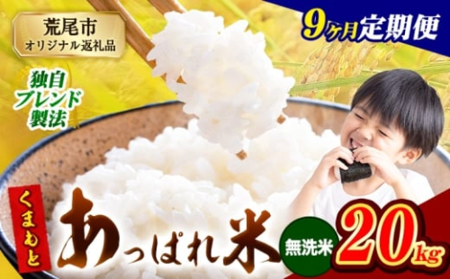 【9ヶ月定期便】熊本県産 くまもとあっぱれ米 無洗米 ブレンド米 20kg 熊本県産 ふるさと納税  精米 米 こめ ふるさとのうぜい コメ お米 おこめ《お申込み翌月から出荷》