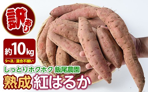 
                  《訳あり》飯尾農園 紅はるか 約10kg 芋 いも さつまいも サツマイモ 鹿児島県産 国産 長島町産 べにはるか 熟成【飯尾農園】 miio-7232
                