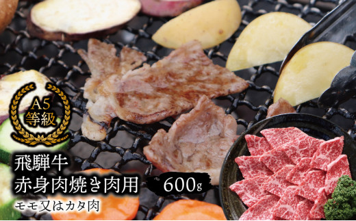 A5等級飛騨牛 赤身肉 焼き肉用 600ｇ モモ又はカタ肉