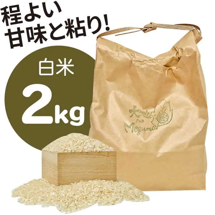 【12回定期便】野菜定期便 お米と季節のやさい 8品目 野菜 定期便 / ながさき南部 [SBW015]