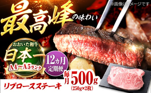 【全12回定期便】おおいた和牛 リブロースステーキ 500g(250g×2枚) 日田市 / 株式会社OTOGINO [AREF142]