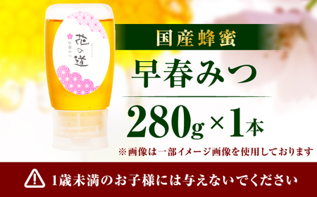 早春みつ 1本（280g） / はちみつ[AFAI041]