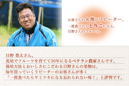 【先行予約】愛宕梨 約3.5～4kg(3～6玉前後) 期間限定 なし フルーツ 果物 新鮮 常温便《12月上旬-1月末頃出荷》熊本県 荒尾市産 目野果実直売所