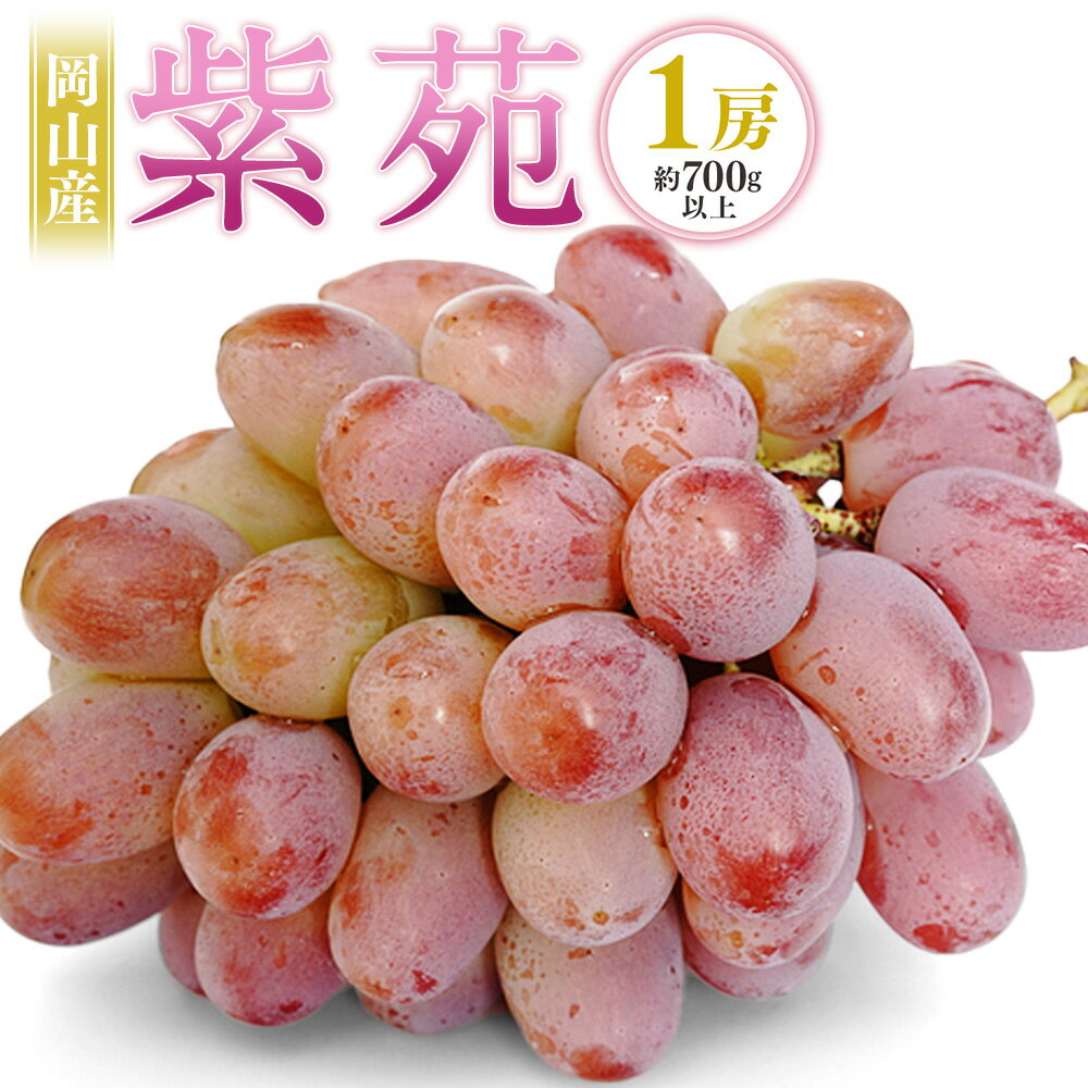 【ふるさと納税】岡山産 紫苑 1房（700g以上） 化粧箱入り ぶどう ブドウ 葡萄 果物 くだもの フルーツ 種なし 高糖度 冷蔵 お取り寄せ 国産 岡山県 奈義町 送料無料 【2025年10月下旬～11月下旬迄発送予定】