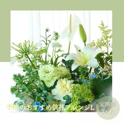 ふるさと納税 芸西村 【毎月定期便】芸西村産季節の生花アレンジメント　供花仏花L【t175tmf】全3回