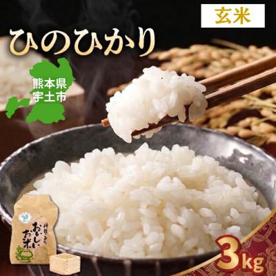 ふるさと納税 宇土市 【先行予約】令和8年産米 那須自然農園「ひのひかり」玄米3kg