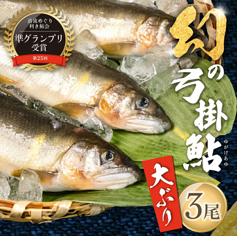【ふるさと納税】【期間限定】（2025年8月中旬頃から発送）幻の弓掛鮎　3尾以上 大型（1尾 約80g前後以上）計300g以上（まとめて真空）【冷凍パック】鮎 あゆ アユ ゆがけ 下呂市 金山 クラブハウス馬瀬川 20000円 22000円