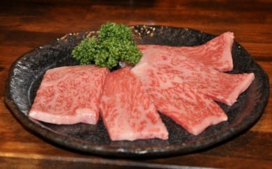 7-Y10　南信州牛　カタロース焼肉用
